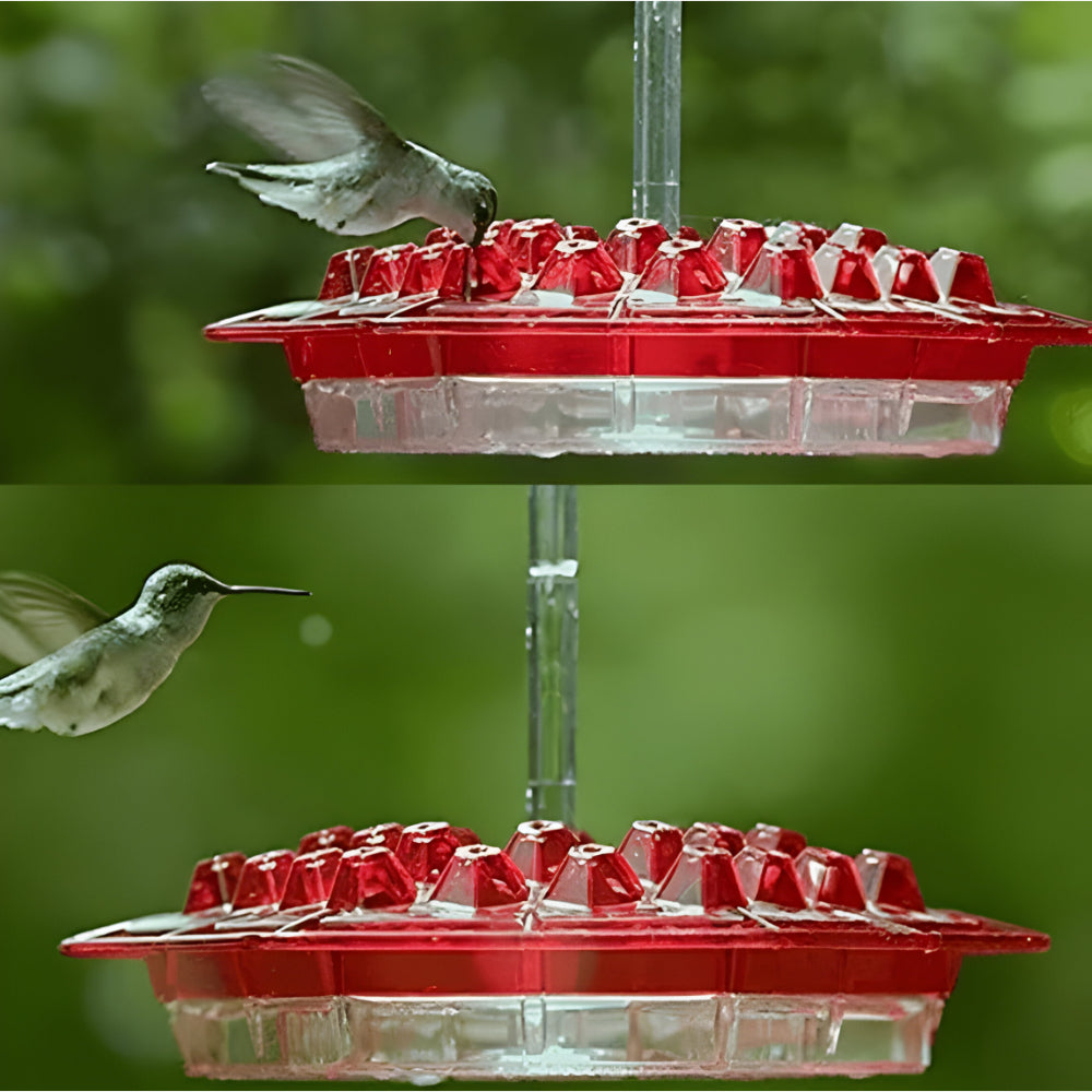 Kolibri-Nektarspender zum Aufhängen im Gartenbereich