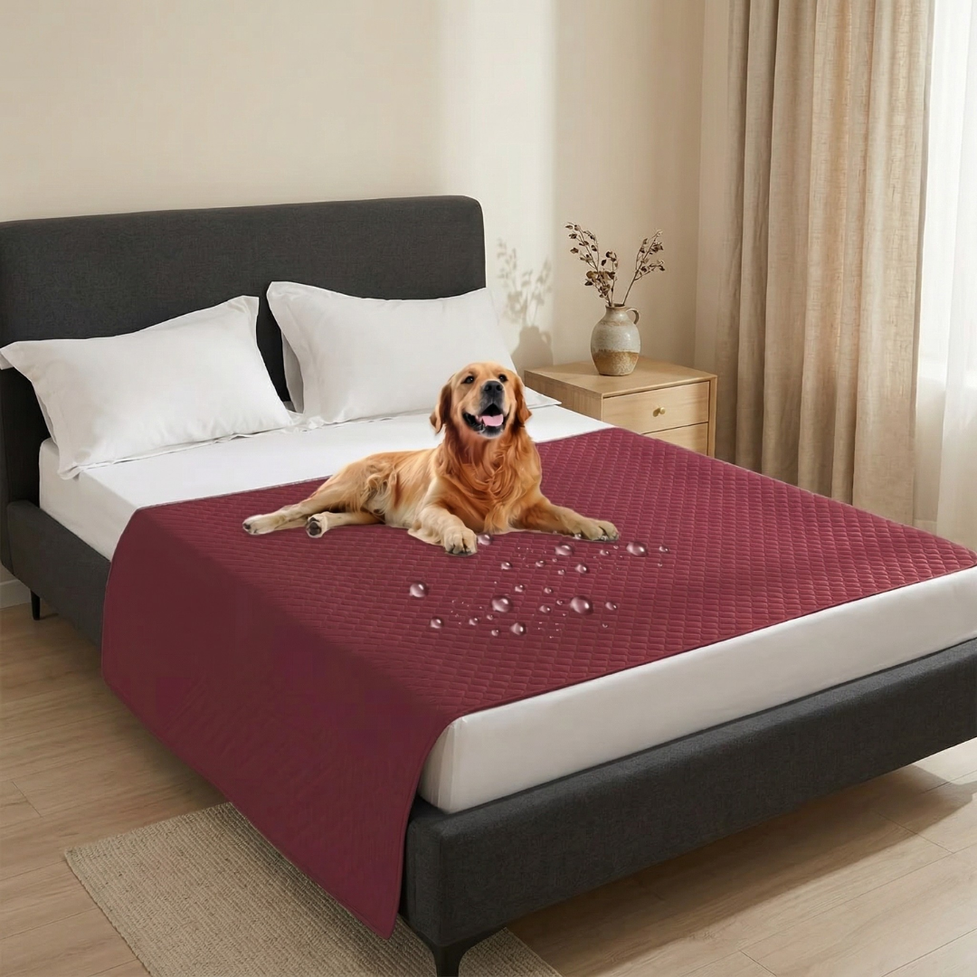 Leak-Proof Dog Seat Cover For Cars And Sofas Everyday Use | Rosalyssa