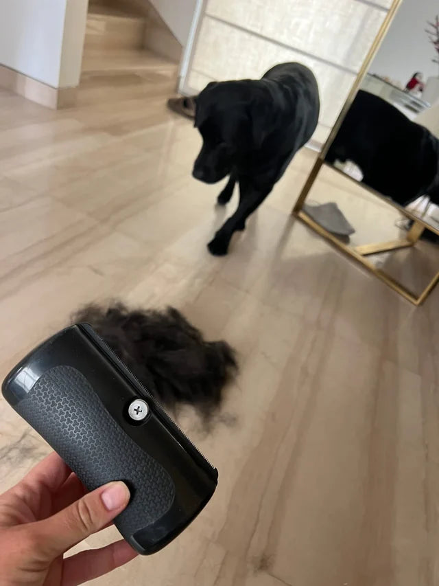 Kæledyrsafløsningsbørste – Underuldsværktøj til katte og hunde