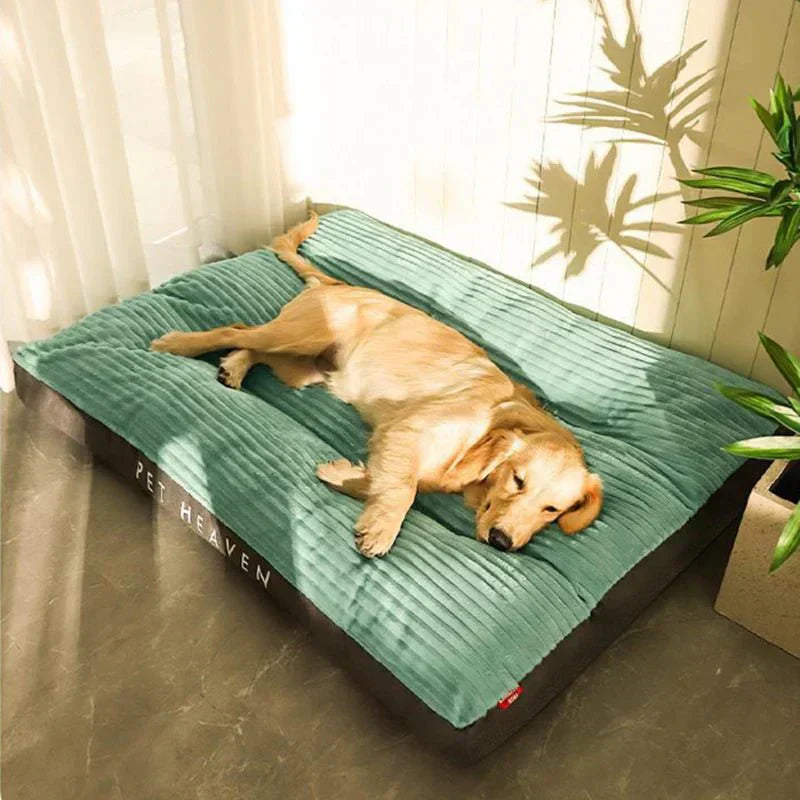 CozyPaws Orthopedic Dog Bed With Optimal Support And Comfort
