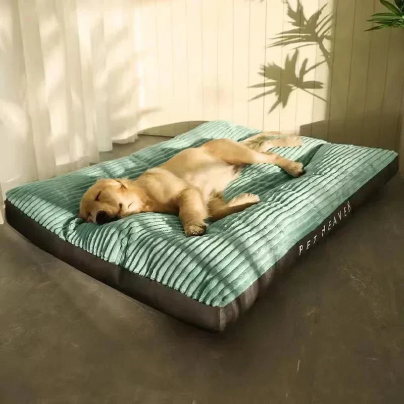 CozyPaws Orthopedic Dog Bed With Optimal Support And Comfort