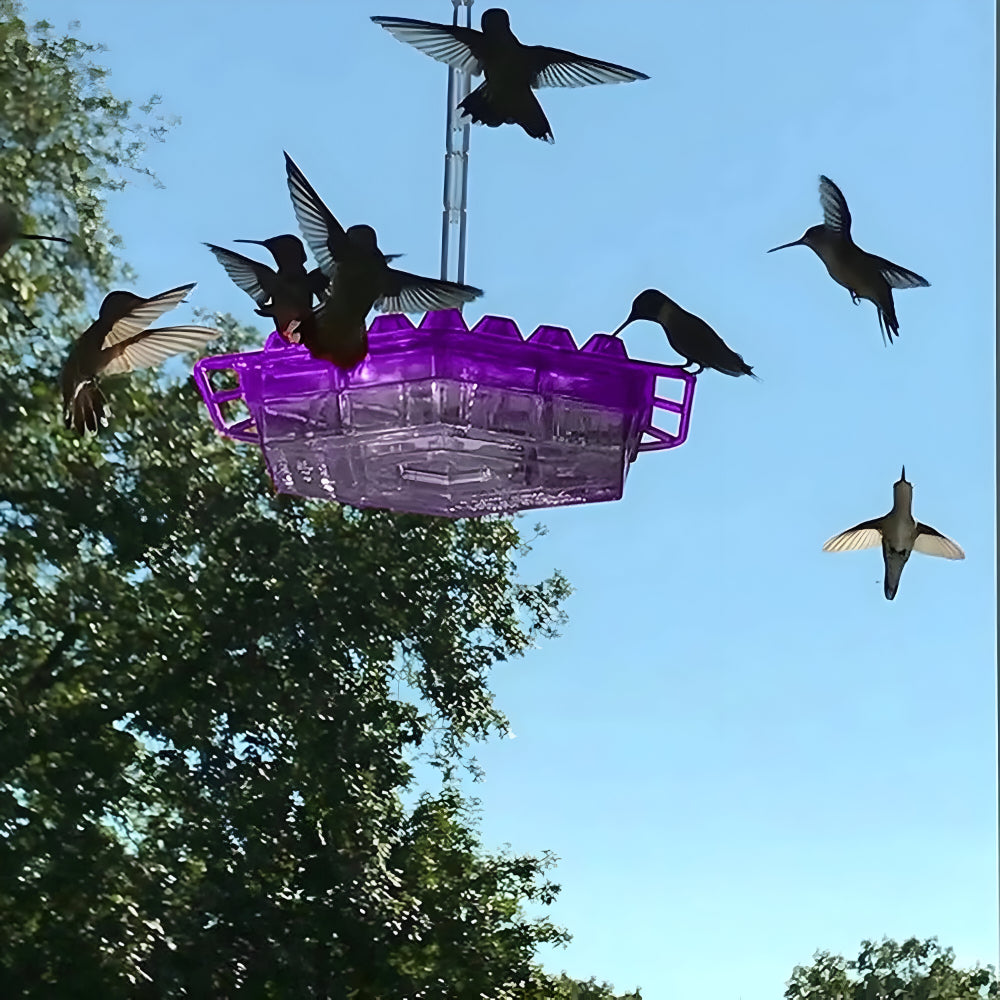 Kolibri-Nektarspender zum Aufhängen im Gartenbereich