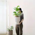 White Self-Watering Planter With Wine Glass Design and Water Level Indicator