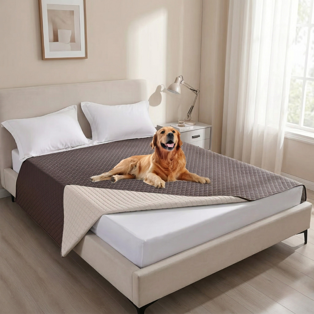 Leak-Proof Dog Seat Cover For Cars And Sofas Everyday Use | Rosalyssa
