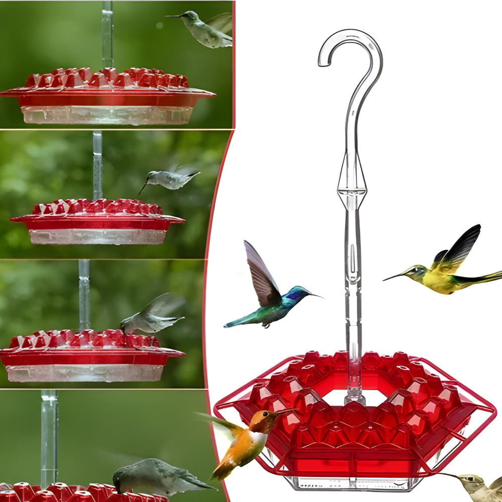 Kolibri-Nektarspender zum Aufhängen im Gartenbereich