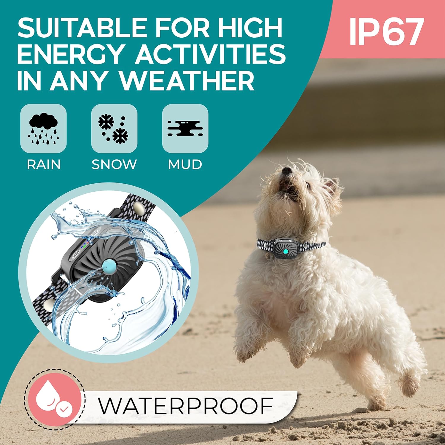 PawGuard CalmPaw Small Dog Bark Deterrent Collar Official
