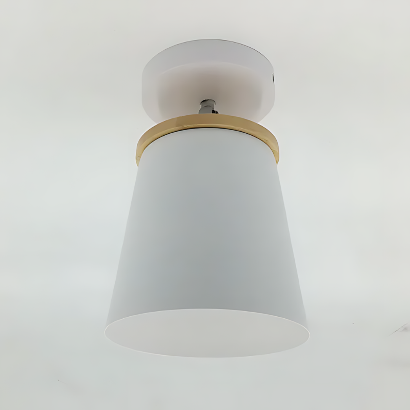 Lampa sufitowa LumaNova z ciepłym, ambientowym światłem do salonów