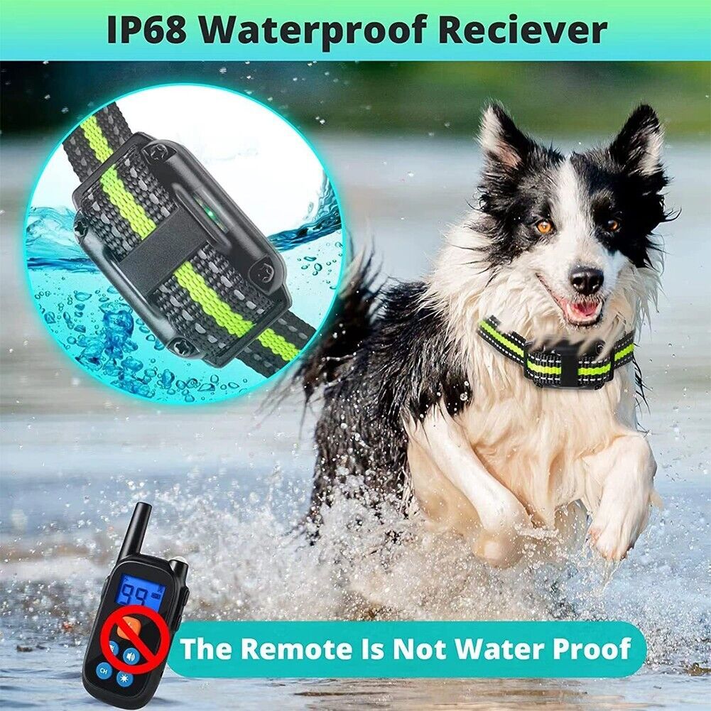 Remote Obedience E Collar For Bark Control And Training