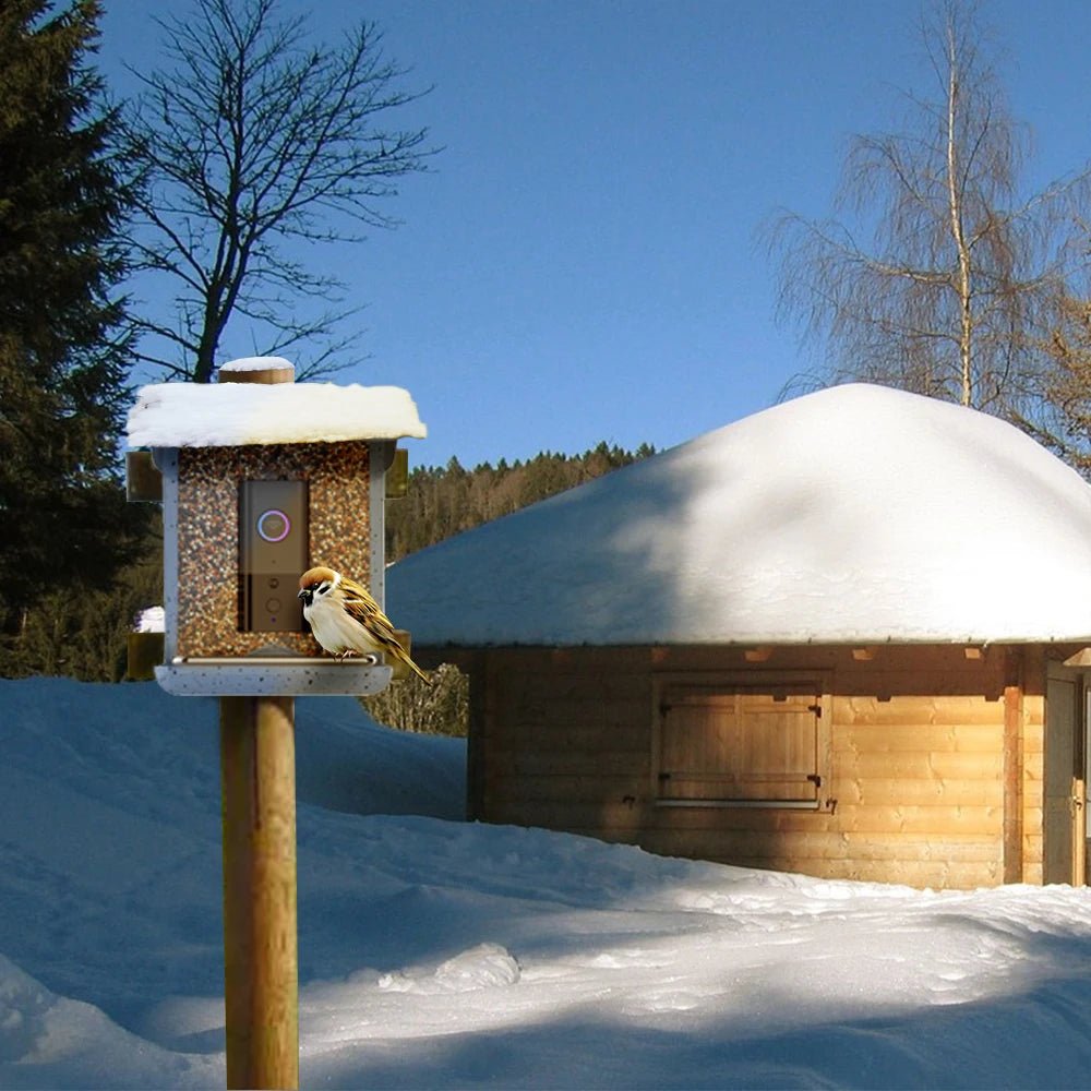 NestView Smart Camera Bird Feeder With App Remote Control