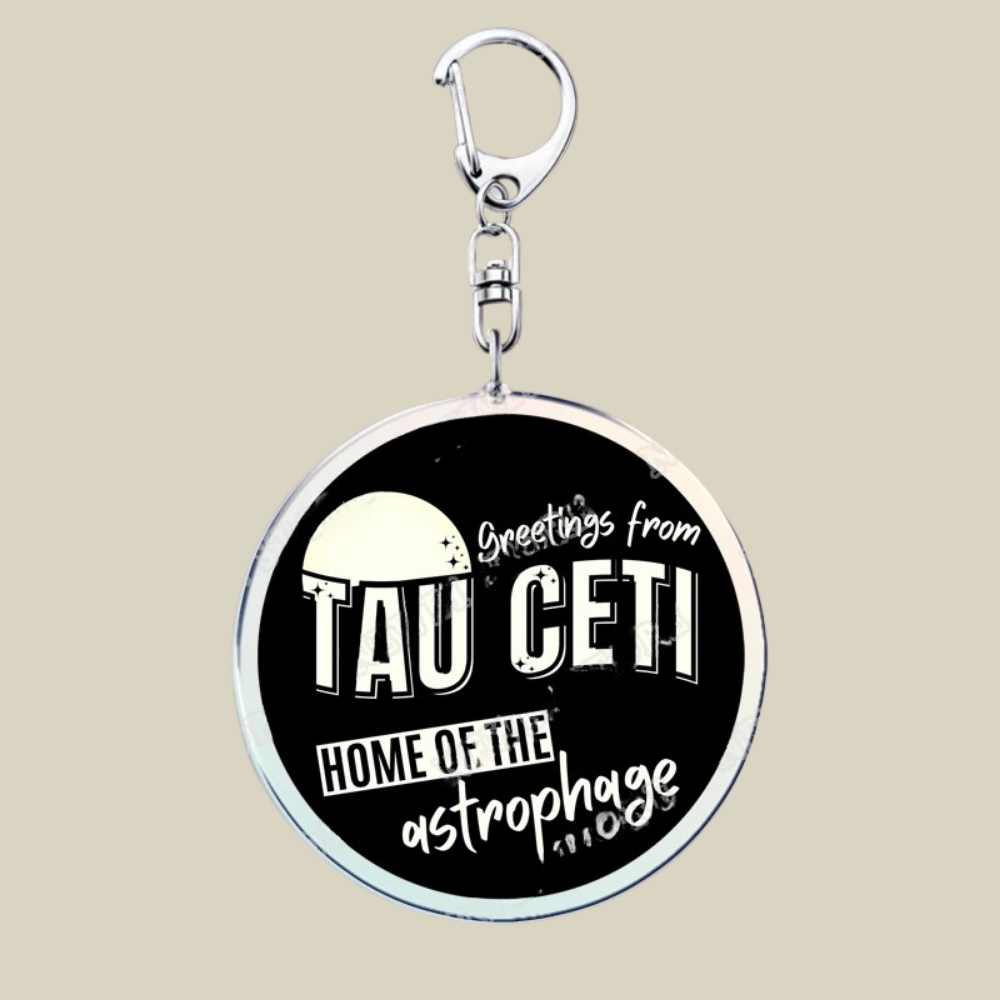 Bunnycat Acrylic Keychain With Cute Cartoon Charm For Bags And Keys
