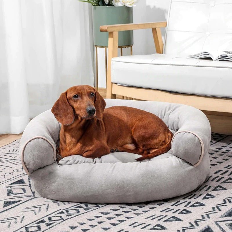 PawsRest Orthopedic Dog Sofa Bed With Pressure Relieving Padding For Older Dogs