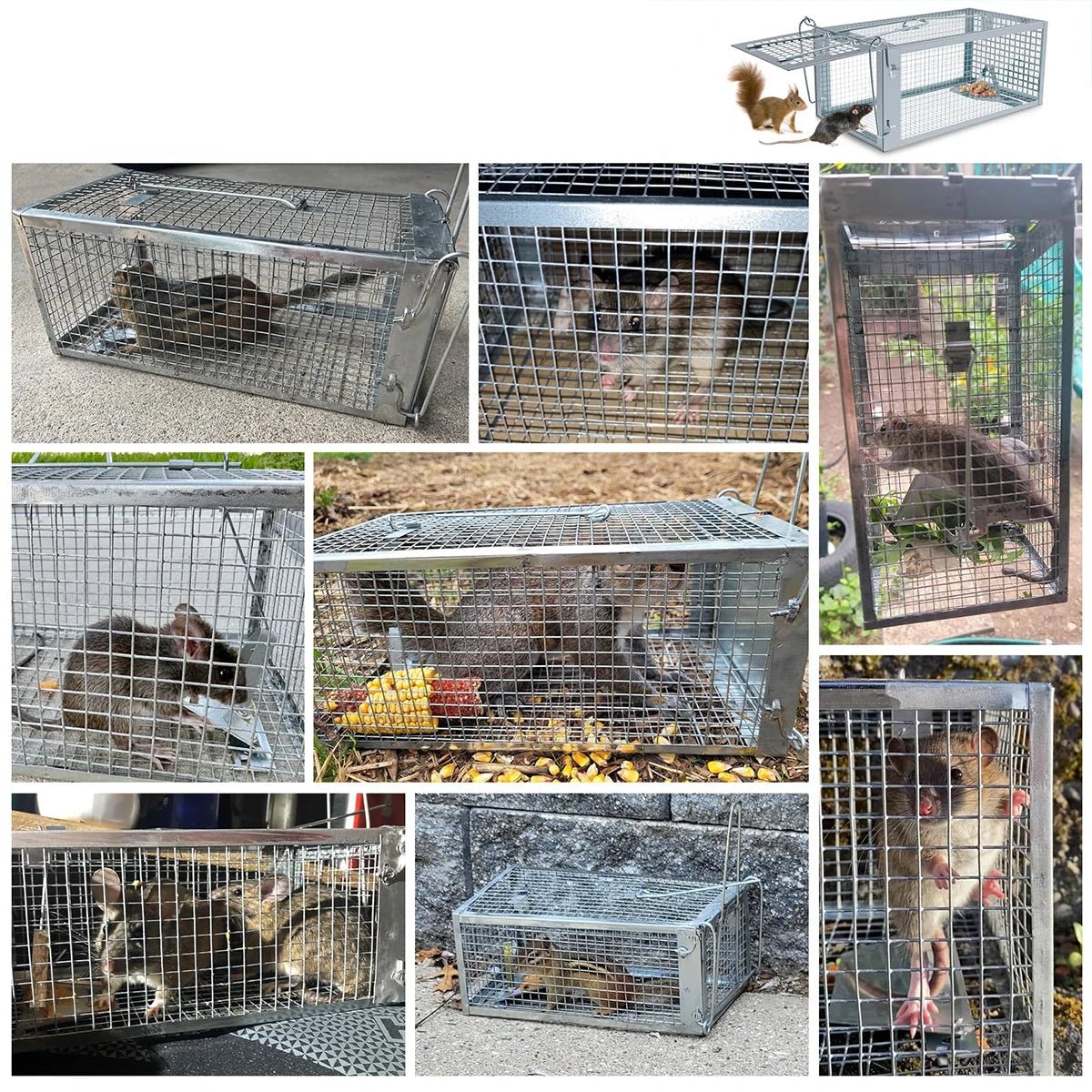 Capcană umană KindGuard pentru rozătoare, pentru controlul la domiciliu și în grădină