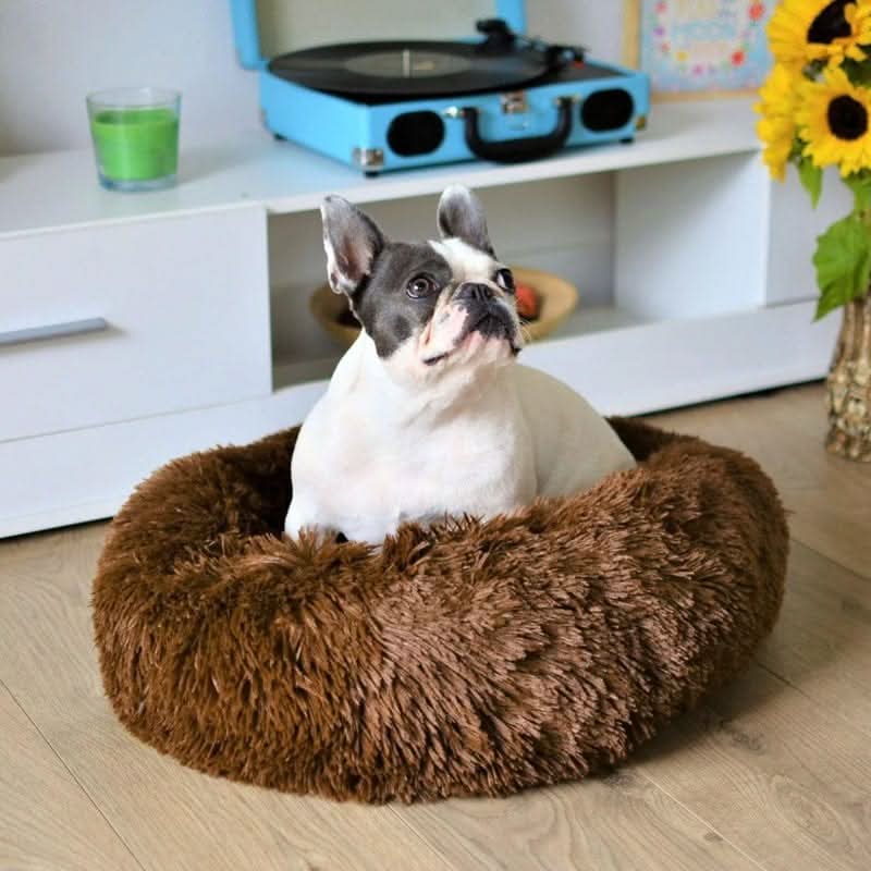 SerenePaws Beruhigendes Hundebett aus Kunstfell für entspannten und gemütlichen Schlaf