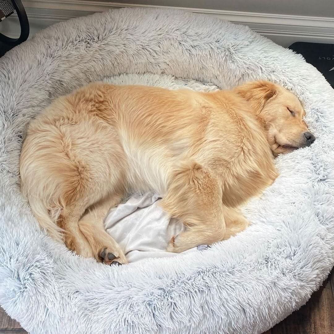 SerenePaws Beruhigendes Hundebett aus Kunstfell für entspannten und gemütlichen Schlaf