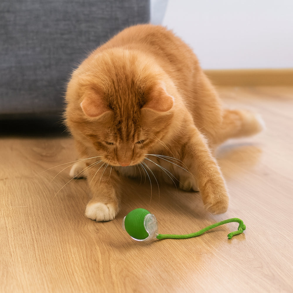 Chase Ball Cat Toy With Interactive Motion Design For Cats