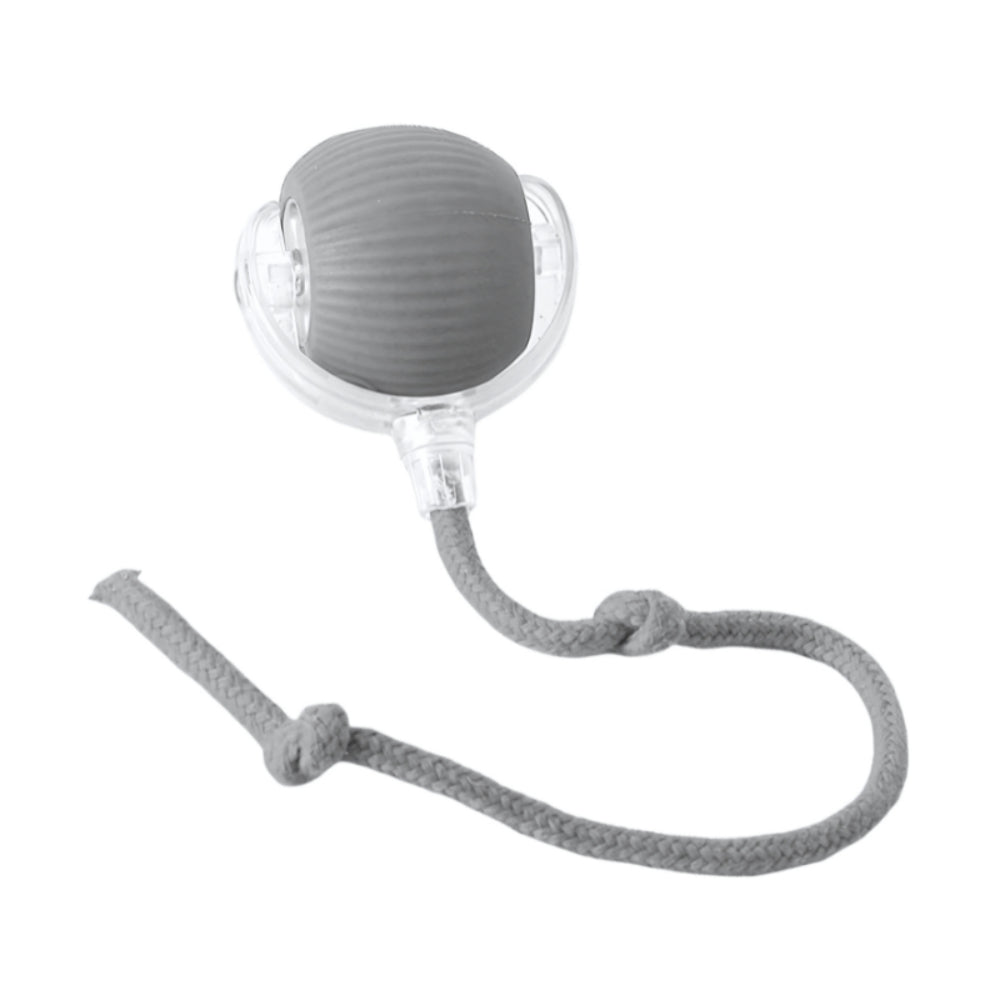 Chase Ball Cat Toy With Interactive Motion Design For Cats