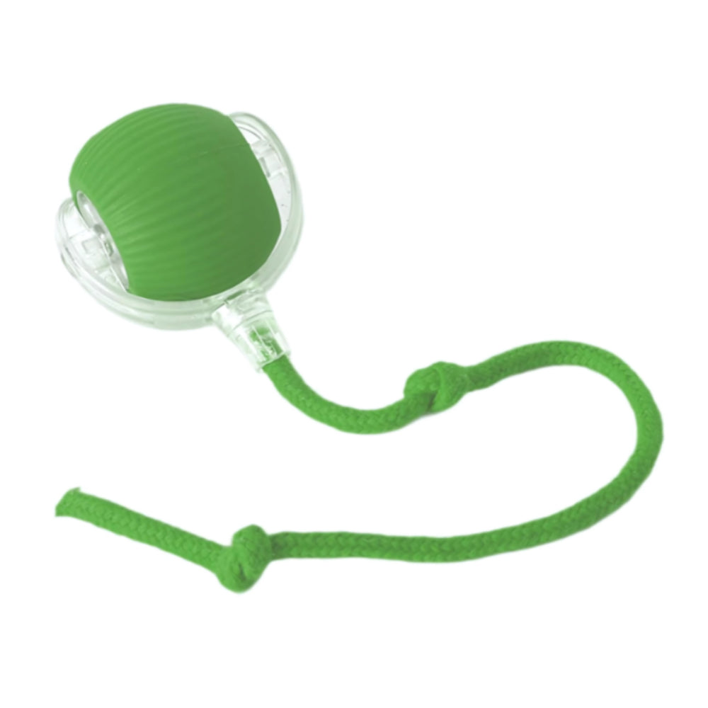 Chase Ball Cat Toy With Interactive Motion Design For Cats