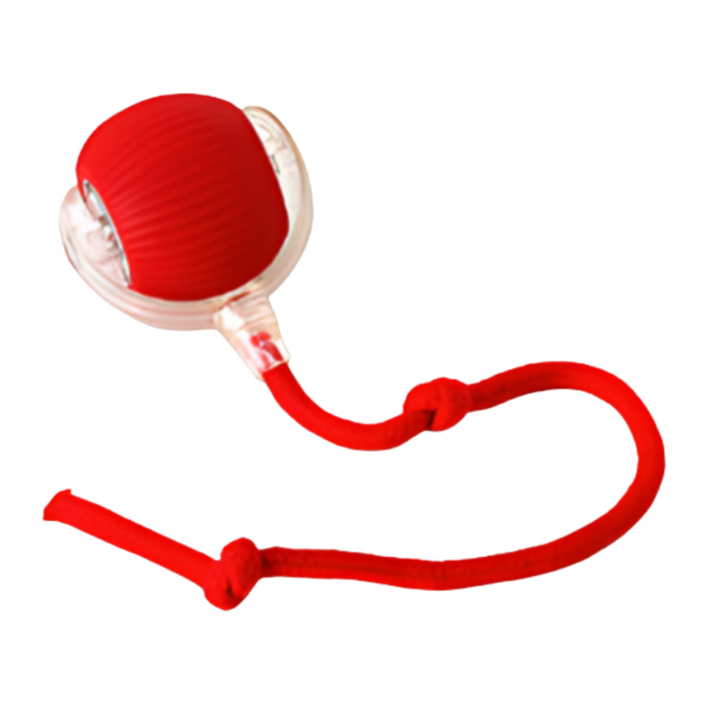 Chase Ball Cat Toy With Interactive Motion Design For Cats