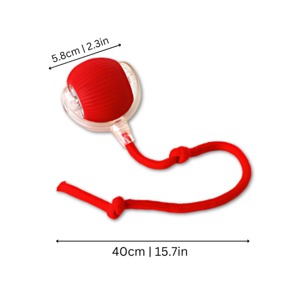 Chase Ball Cat Toy With Interactive Motion Design For Cats