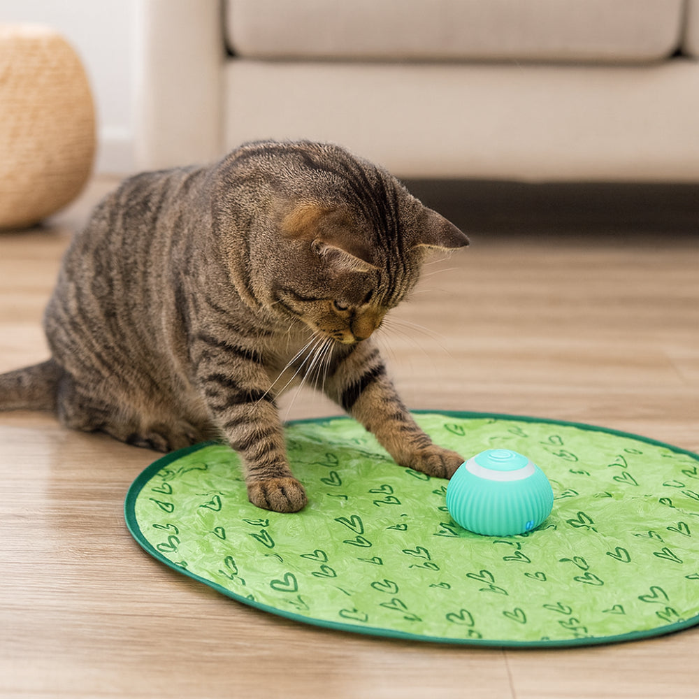 Conjunto de Brinquedos Interativos para Gatos com Tapete de Jogo e Bola Rolante