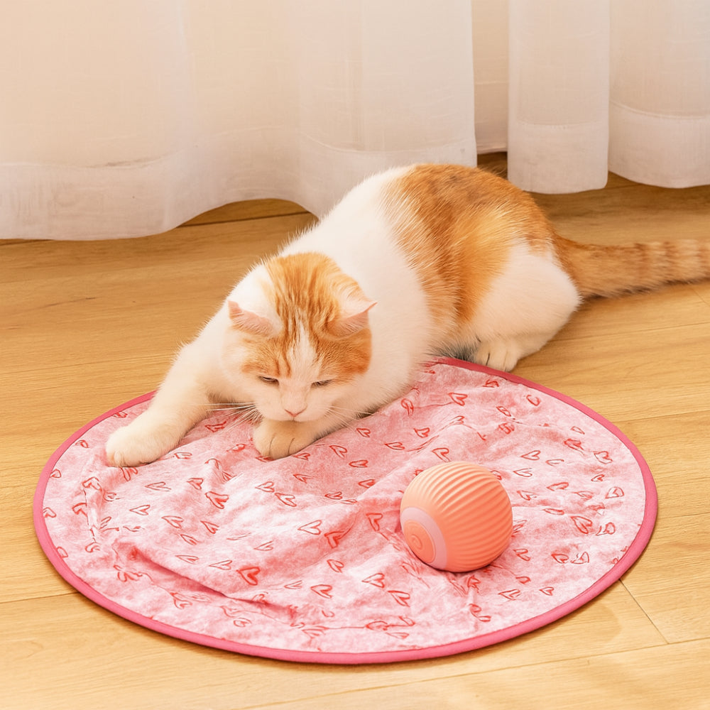Conjunto de Brinquedos Interativos para Gatos com Tapete de Jogo e Bola Rolante