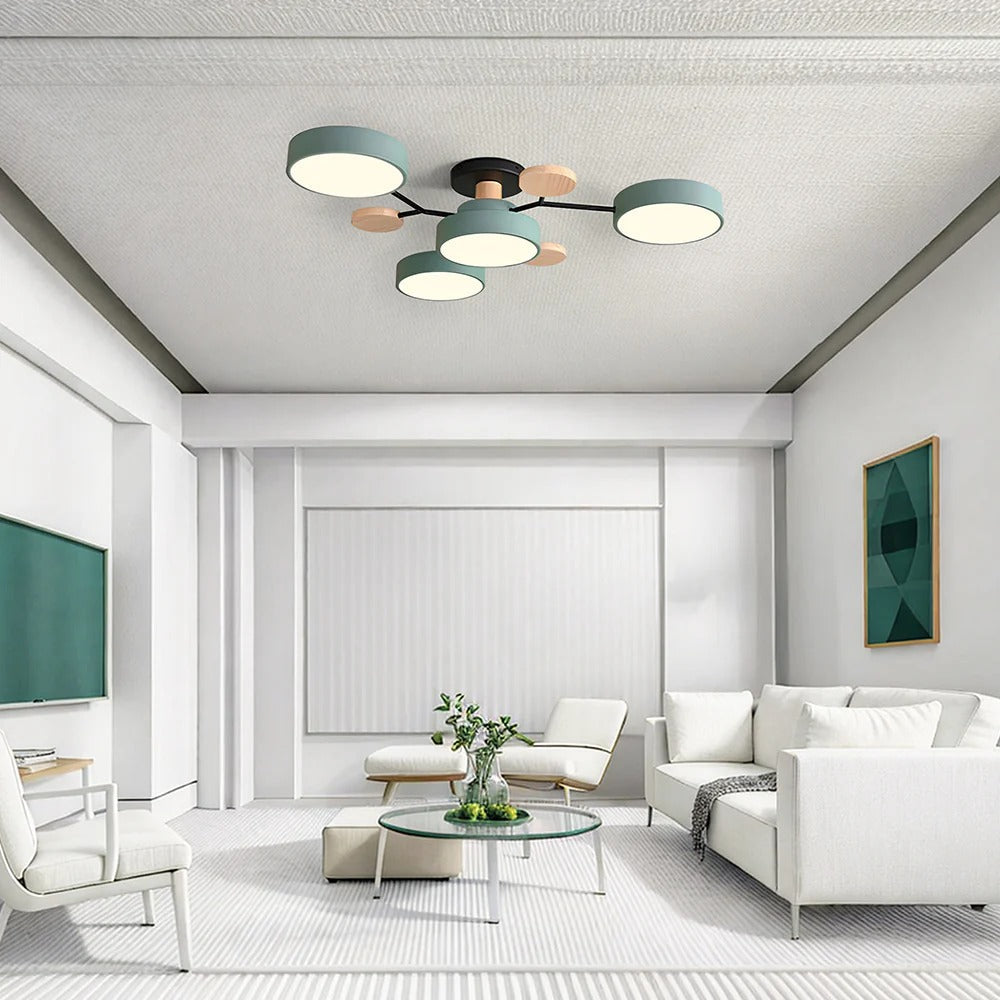 Modern LED Ceiling Light Fixture With Flush Mount Design