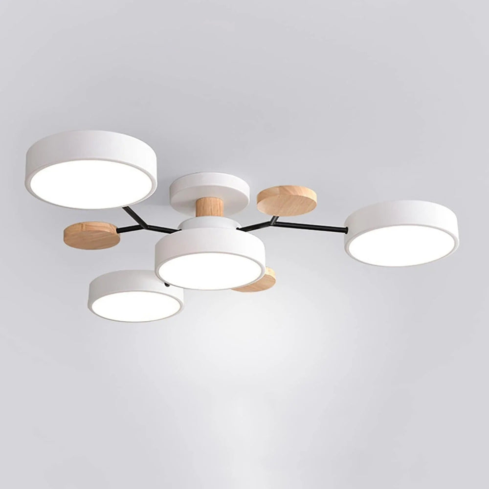 Modern LED Ceiling Light Fixture With Flush Mount Design
