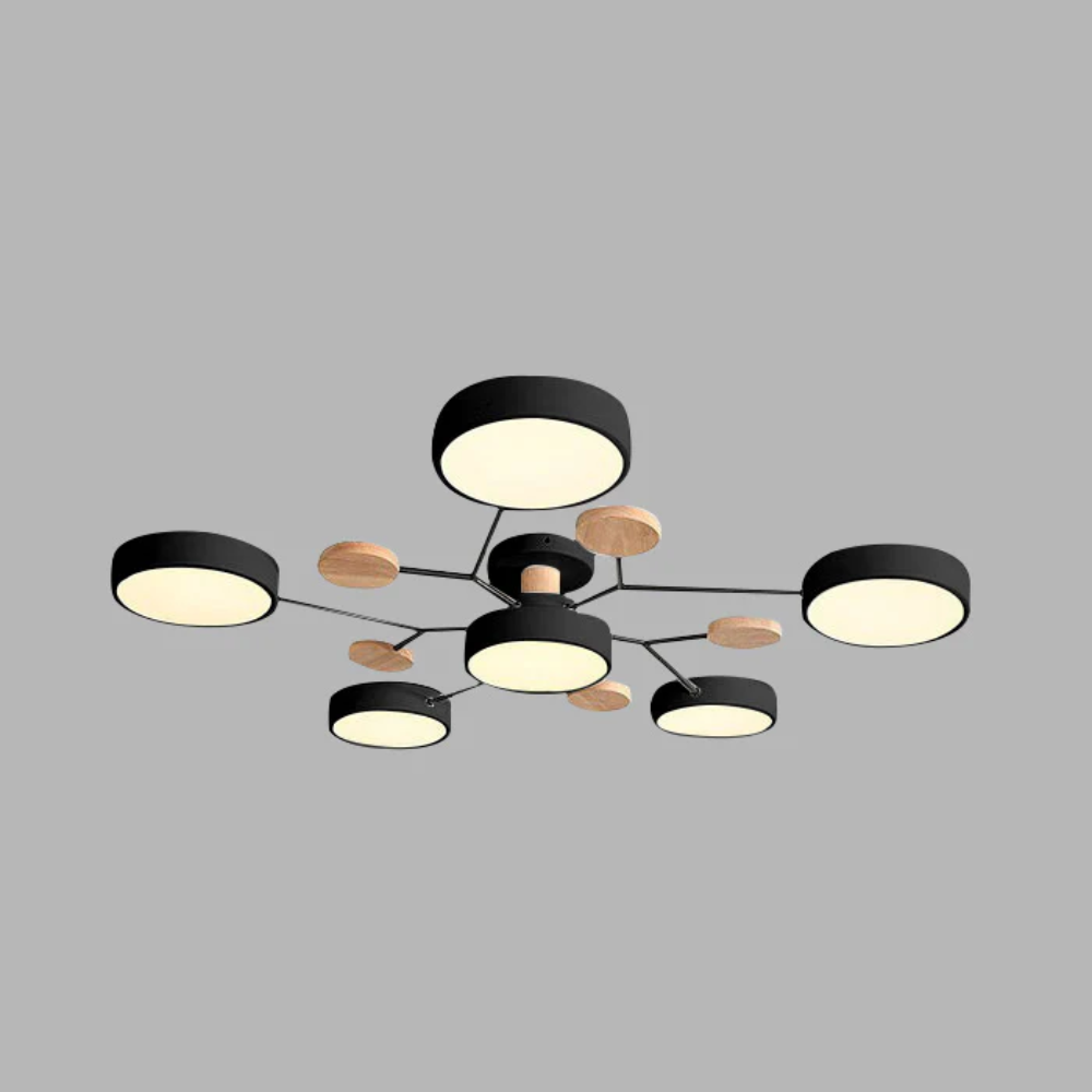 Modern LED Ceiling Light Fixture With Flush Mount Design