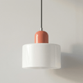 Contemporary Metal Pendant Ceiling Light Fixture, 12-Inch | Rosalyssa