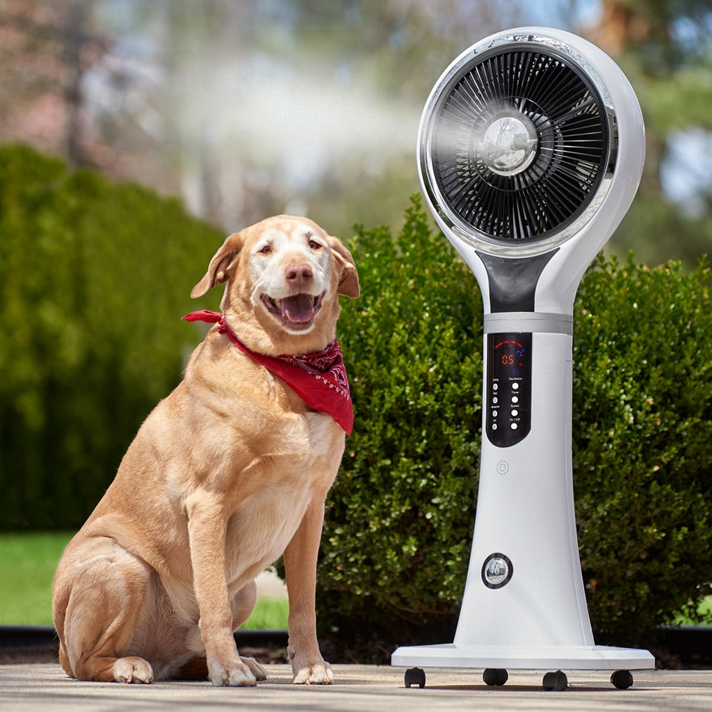 Refroidisseur évaporatif compact portable pour un refroidissement rapide de l'air