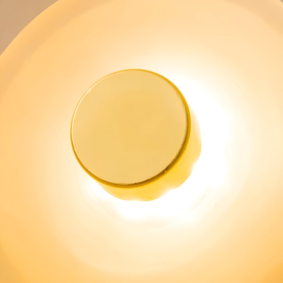 LED-Wandleuchte mit gebogenem Glas im Japandi-Stil, 1-flammige Leuchte | Rosalyssa