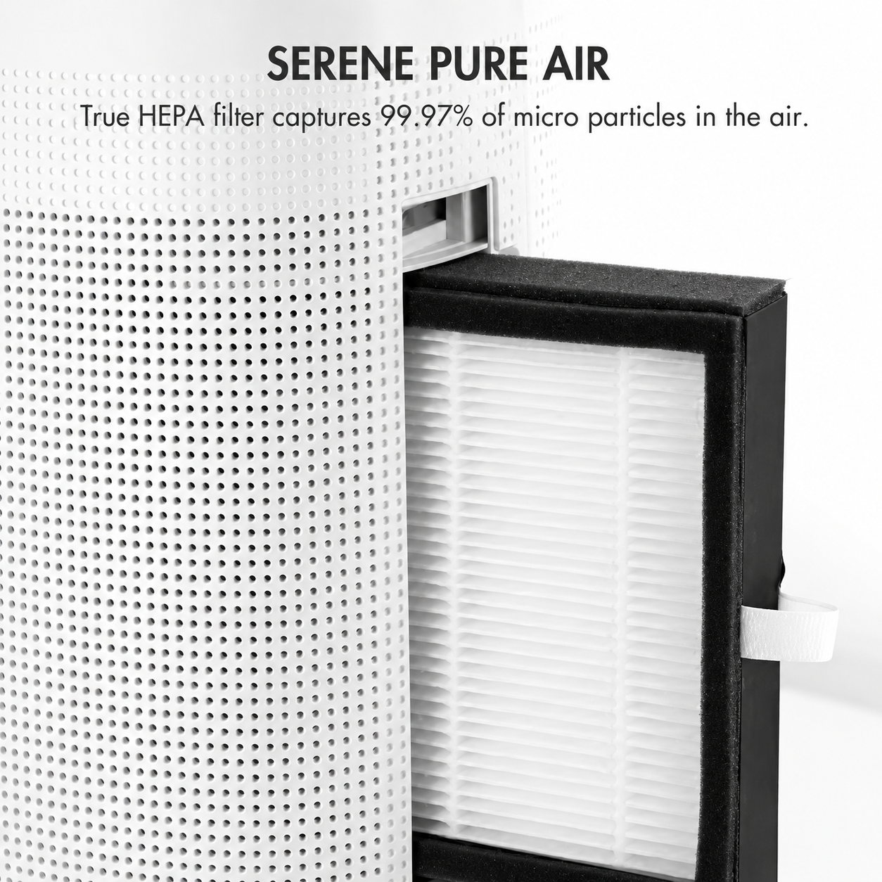 Compact Dehumidifier With Air Purifier For Moisture Reduction