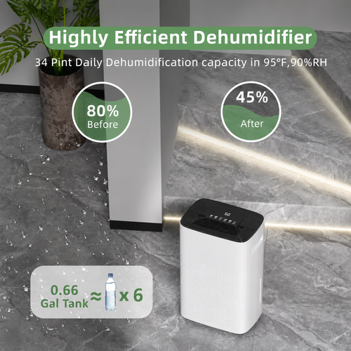 Basement Dehumidifier With Drain Hose For Moisture Removal