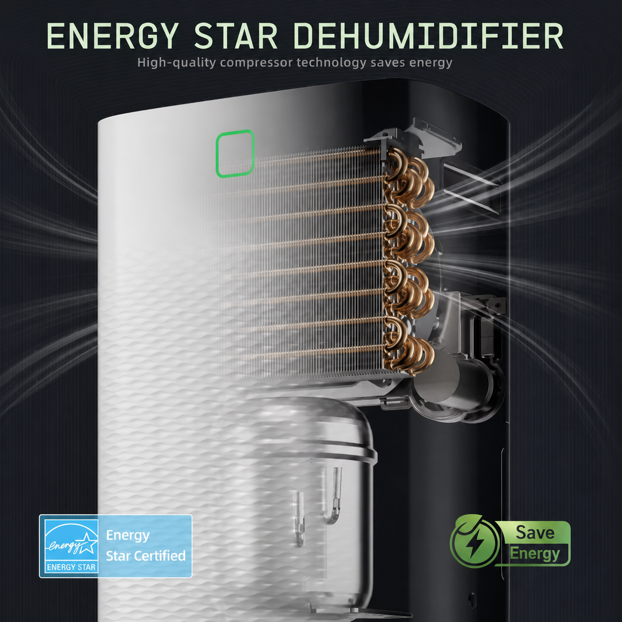 Basement Dehumidifier With Drain Hose For Moisture Removal