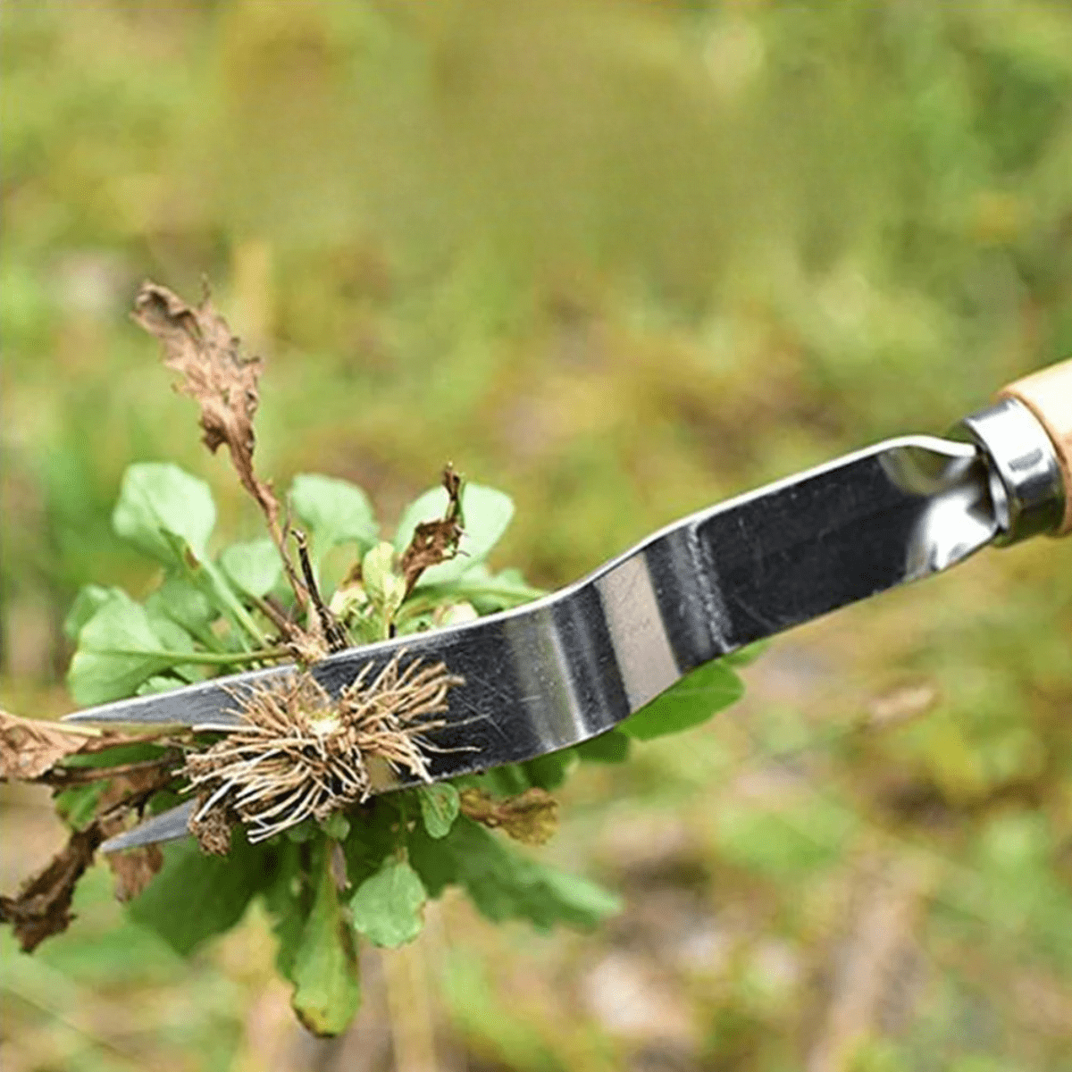 Verdant Grip Präzisions-Unkrautentferner mit ergonomischem Griff für einfache Handhabung