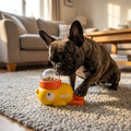 Distributeur de friandises pour chiens en forme de canard à presser et tourner | Rosalyssa