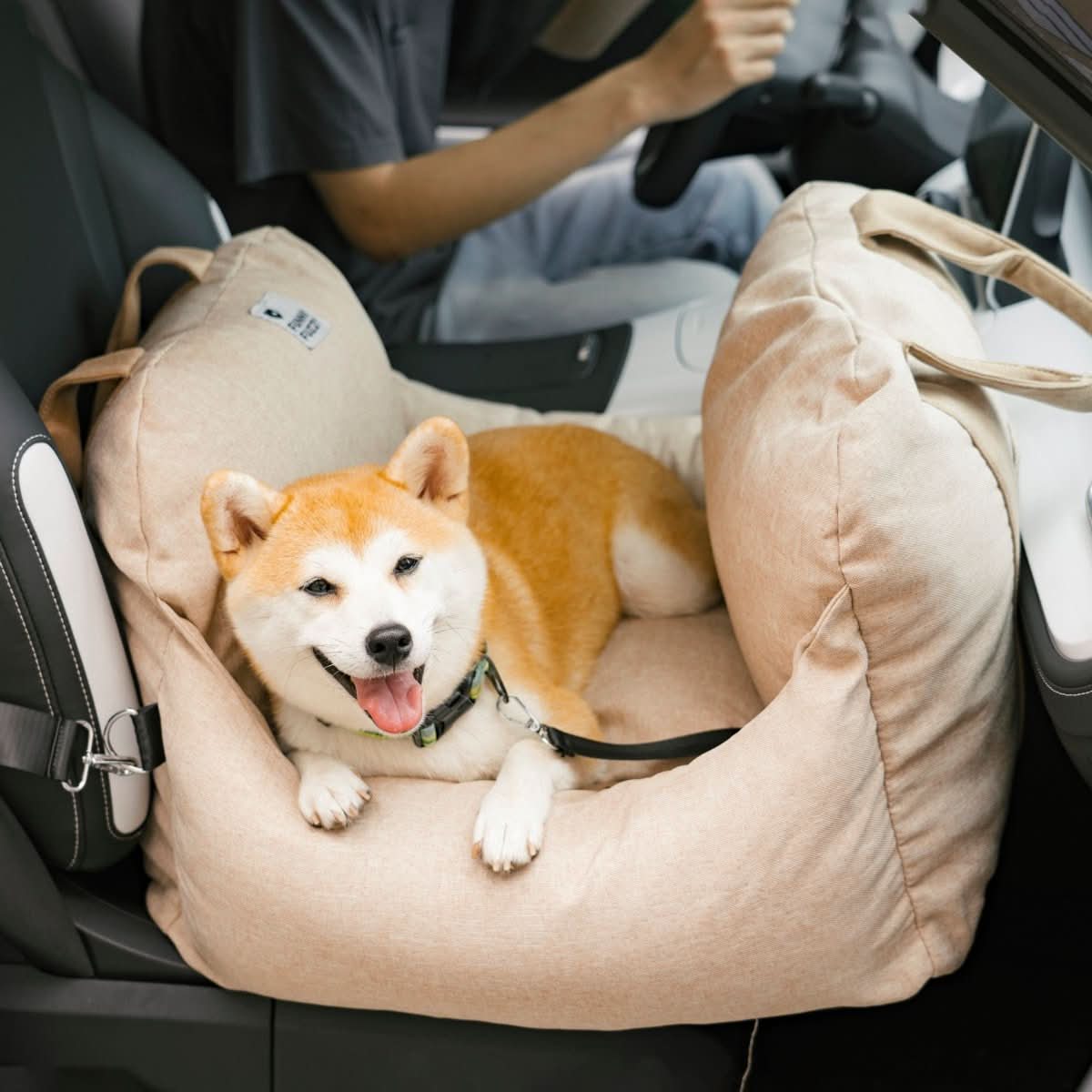 CozyTrail Dog Seat Bed With Safety Belt And Non Slip Base For Car And Home