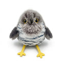 Interactive Flapping-Wing Bird Cat Toy USB-C Rechargeable (Cuckoo, Marsh Tit, Parrot) | Rosalyssa