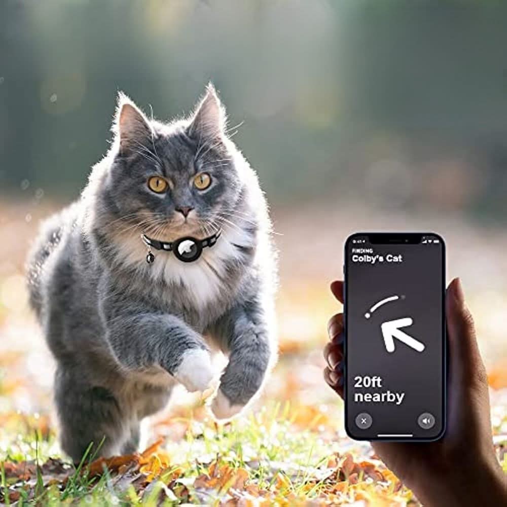 WhiskerTrack GPS-Halsband für Katzen mit reflektierendem Design