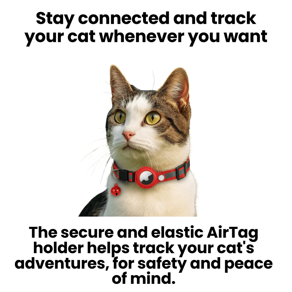 WhiskerTrack GPS-Halsband für Katzen mit reflektierendem Design