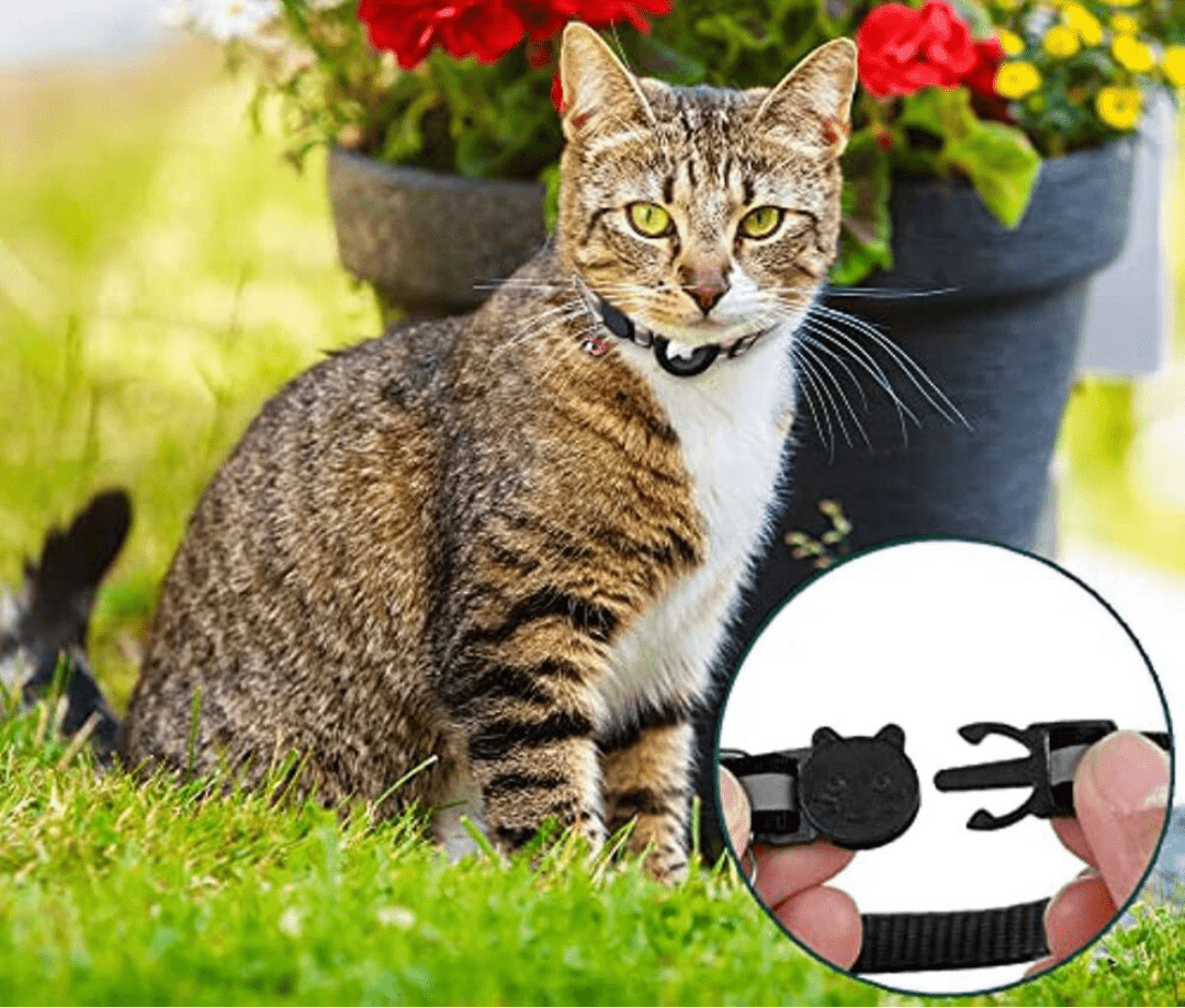 WhiskerTrack GPS-Halsband für Katzen mit reflektierendem Design