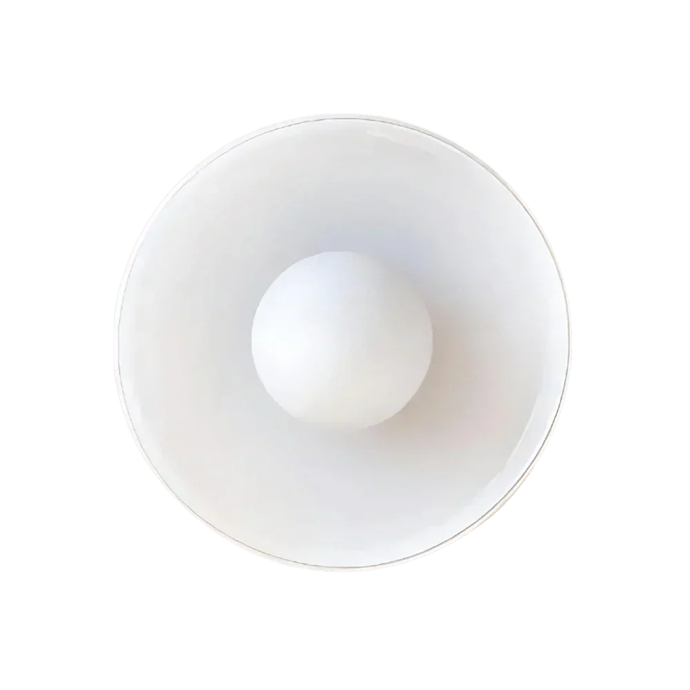 Nordisk stil LED glasplade væg- og loftlampe, 1 lyskilde | Rosalyssa