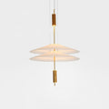 LED Acrylic Gold Black Ceiling Light Chandelier For Living Room And Bedroom, 50 Or 67 Cm