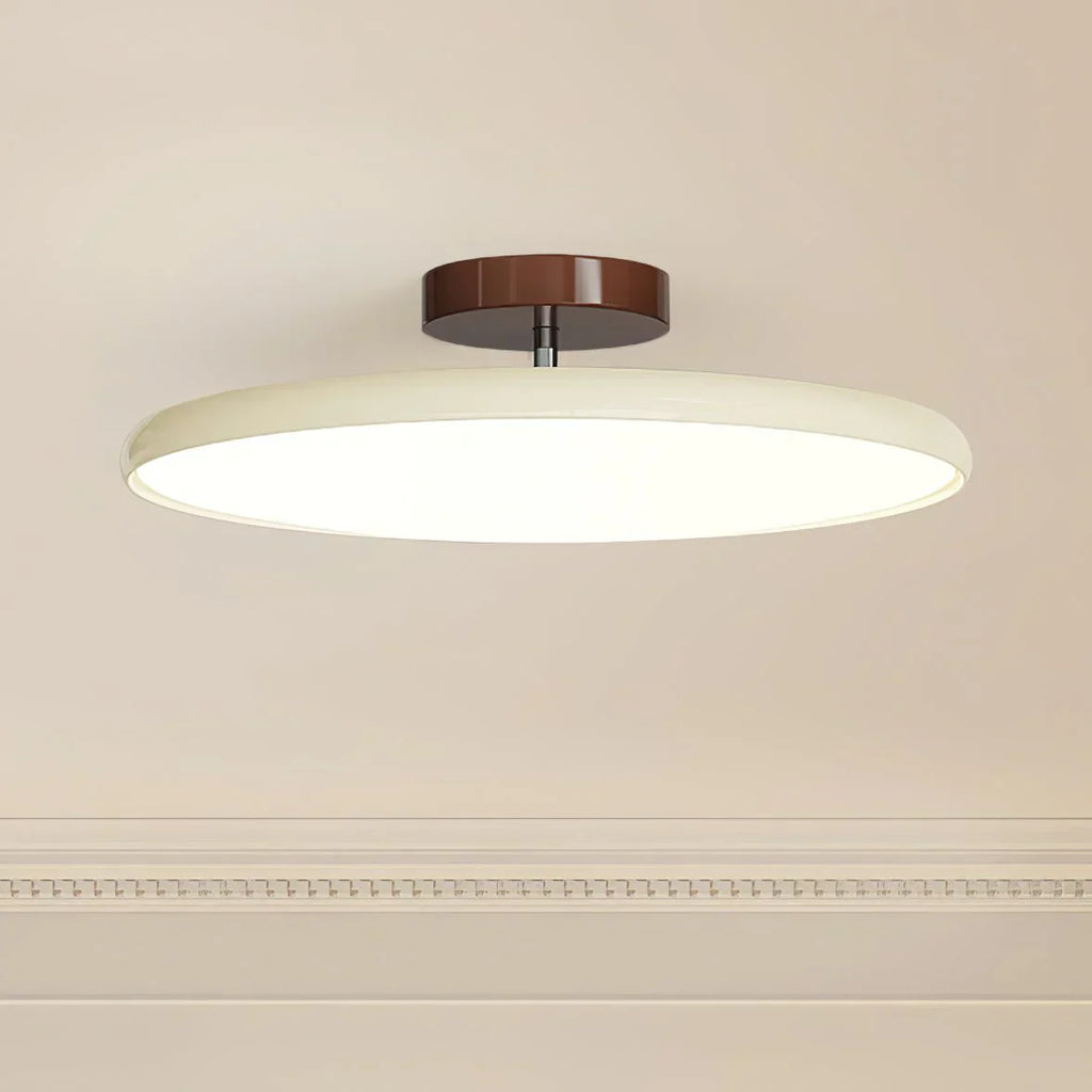 Drift Ceiling Light With Adjustable Design, Minimalist Modern Fixture