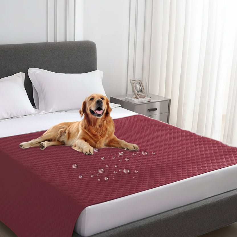 PetGuard Pro Vuotamaton Vedenkestävä Lemmikkihuopa Huonekalujen Suojaksi