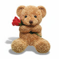 Valentine Rose Holding Plush Bear Gift For Your Loved One