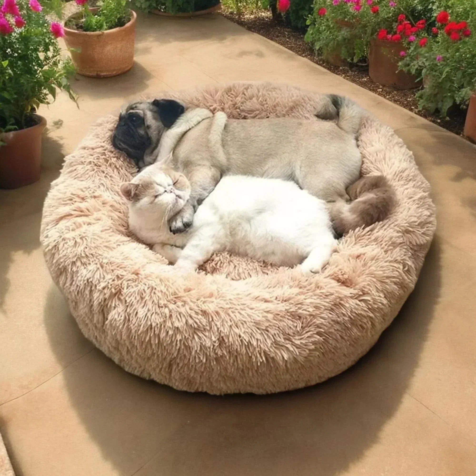 Superweiches beruhigendes Hundebett für entspannte Nächte und Komfort