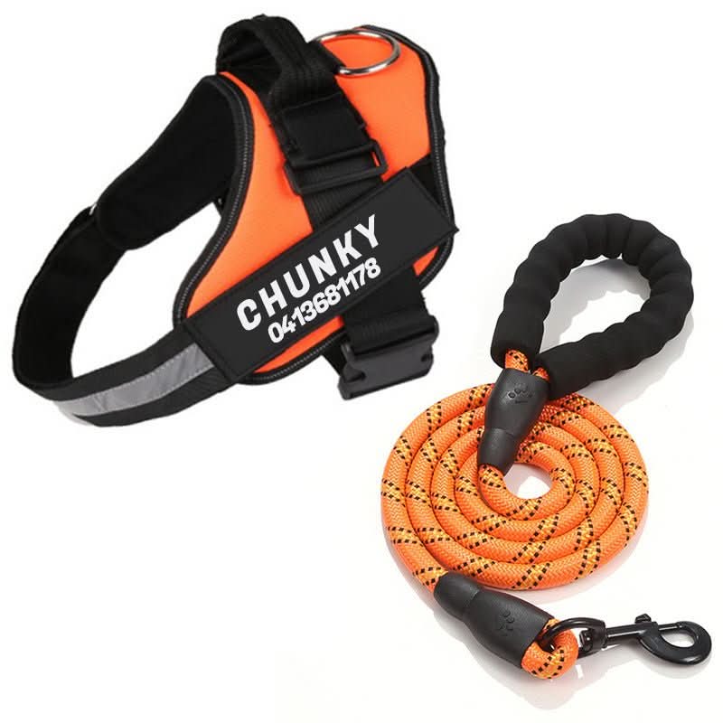 SafePaw Personalizable Dog Harness For Comfort And Safety