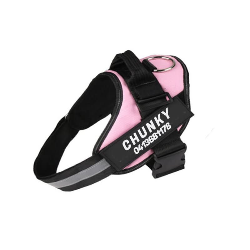 SafePaw Personalizable Dog Harness For Comfort And Safety