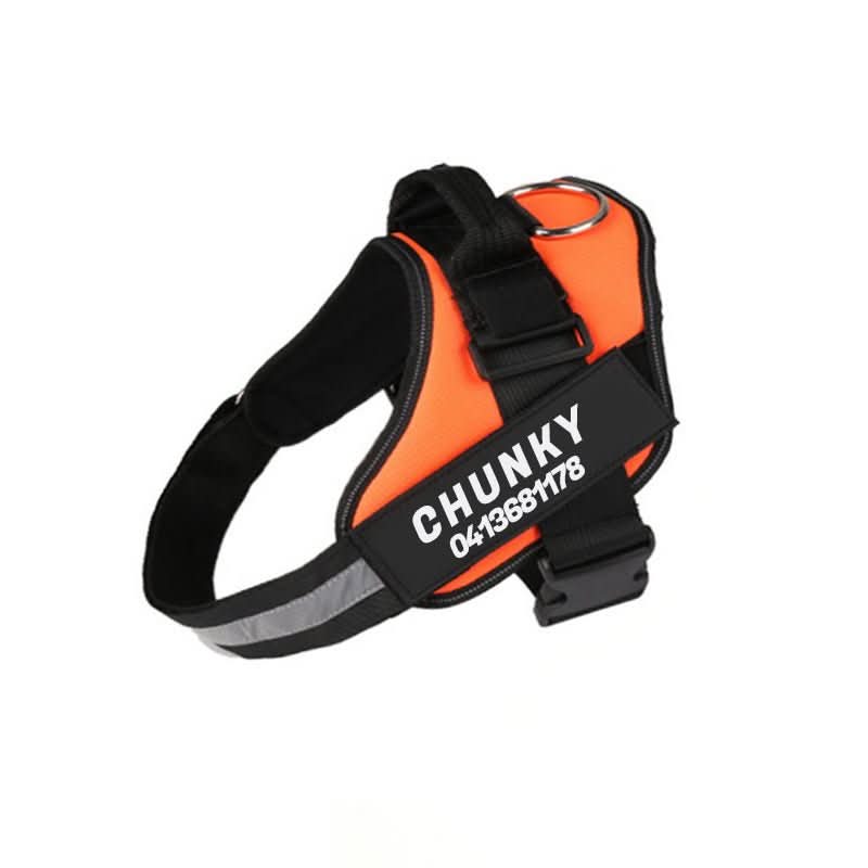 SafePaw Personalizable Dog Harness For Comfort And Safety
